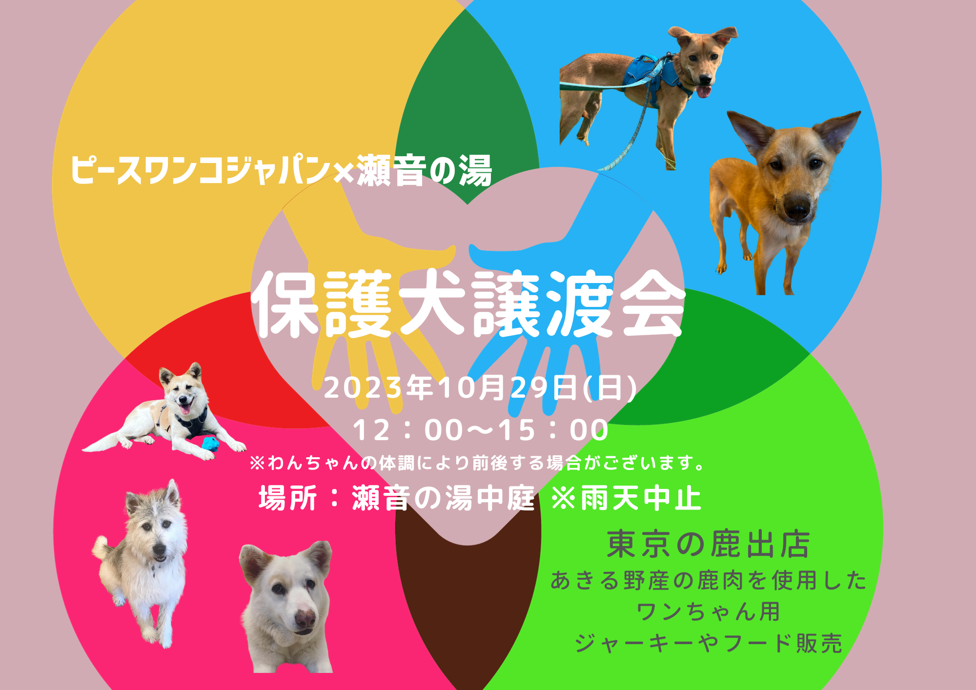 保護犬譲渡会を開催します！ | 秋川渓谷 瀬音の湯